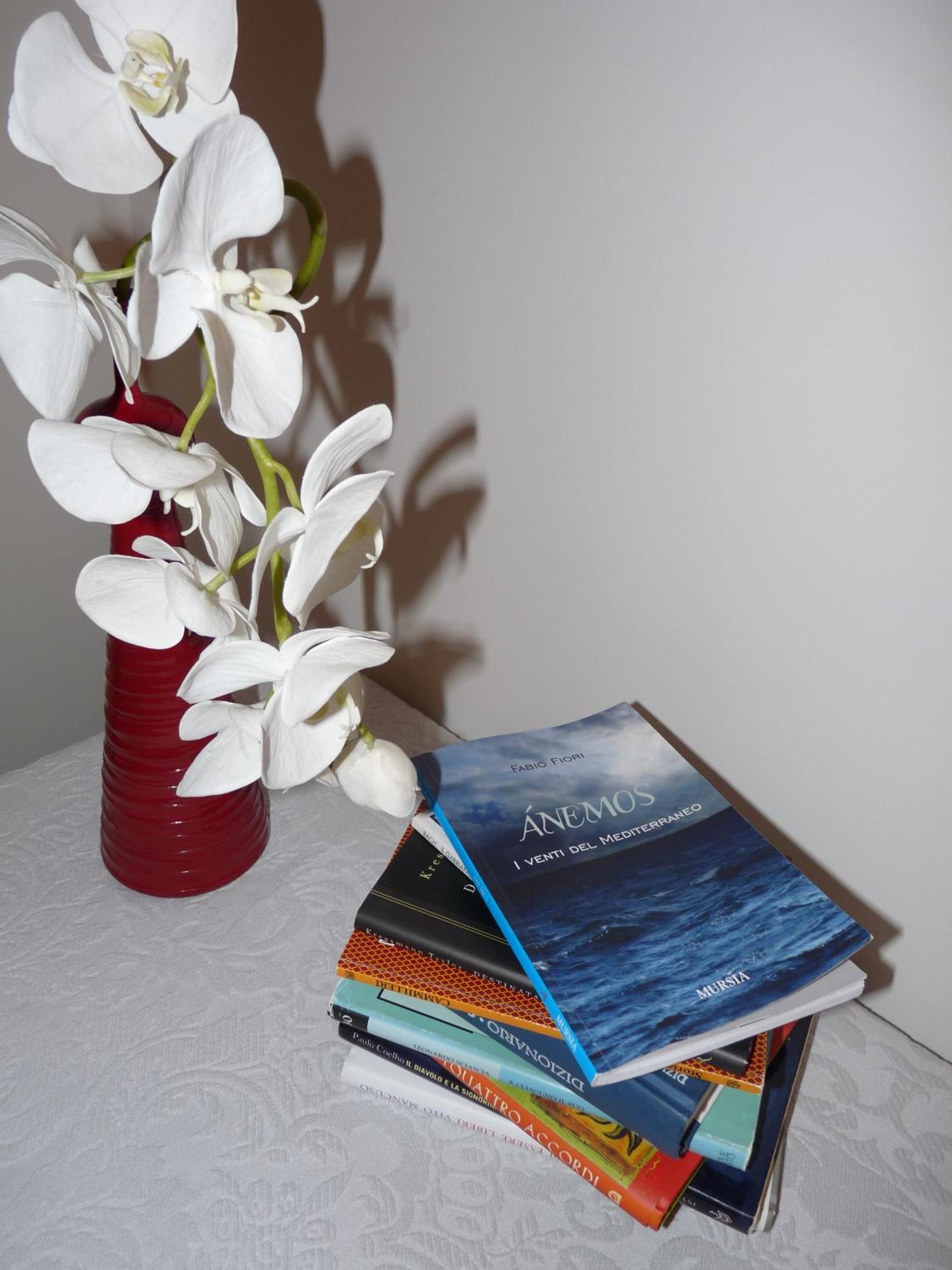 Anemos B&B Termoli Extérieur photo